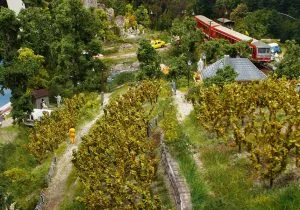 Alte Eisenbahntrasse mit Weinberg und See – Modellbahn-Diorama, Ansicht 6